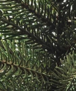 Alternative view of ✨VINTERFINT
artificial potted plant
12 cm