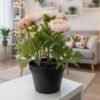 ✨FEJKA
Artificial potted plant, in/outdoor/Ranunculus pink, 12 cm⁩