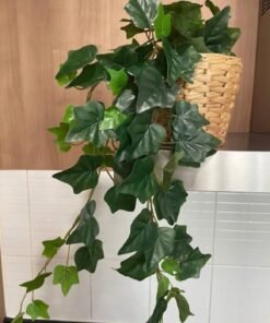 Alternative view of ✨FEJKA
Artificial potted plant, in/outdoor/hanging Ivy, 12 cm