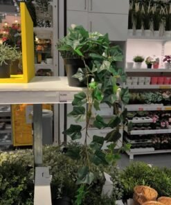 ✨FEJKA
Artificial potted plant, in/outdoor/hanging Ivy, 12 cm