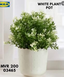 Alternative view of ✨SESAMFRÖN
Plant pot, in/outdoor off-white, 9 cm