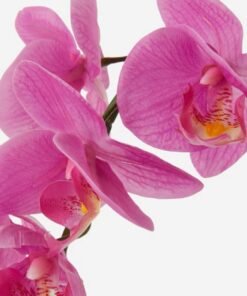 Alternative view of ✨FEJKA
Artificial potted plant, Orchid ,  / lilac 9 cm