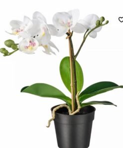 ✨FEJKA
Artificial potted plant, Orchid white,   9 cm