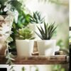 ✨FEJKA
Artificial plant with pot, in/outdoor tree (set of 3)
