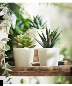 ✨FEJKA
Artificial plant with pot, in/outdoor tree (set of 3)
