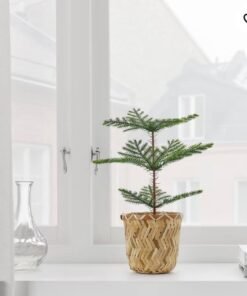 Alternative view of ✨FEJKA
artificial potted plant, in/outdoor Norfolk island pine