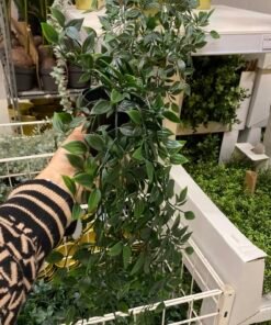 ✨FEJKA
Artificial potted plant, in/outdoor/hanging, 9 cm