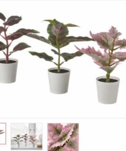 Alternative view of FEJKA ✨
Artifi potted plant w pot, set of 3, in/outdoor Painted nettle, 6 cm