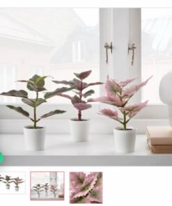 FEJKA ✨
Artifi potted plant w pot, set of 3, in/outdoor Painted nettle, 6 cm