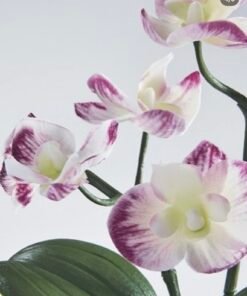 Alternative view of ✨FEJKA
Artificial potted plant, in/outdoor Orchid/light purple, 9 cm