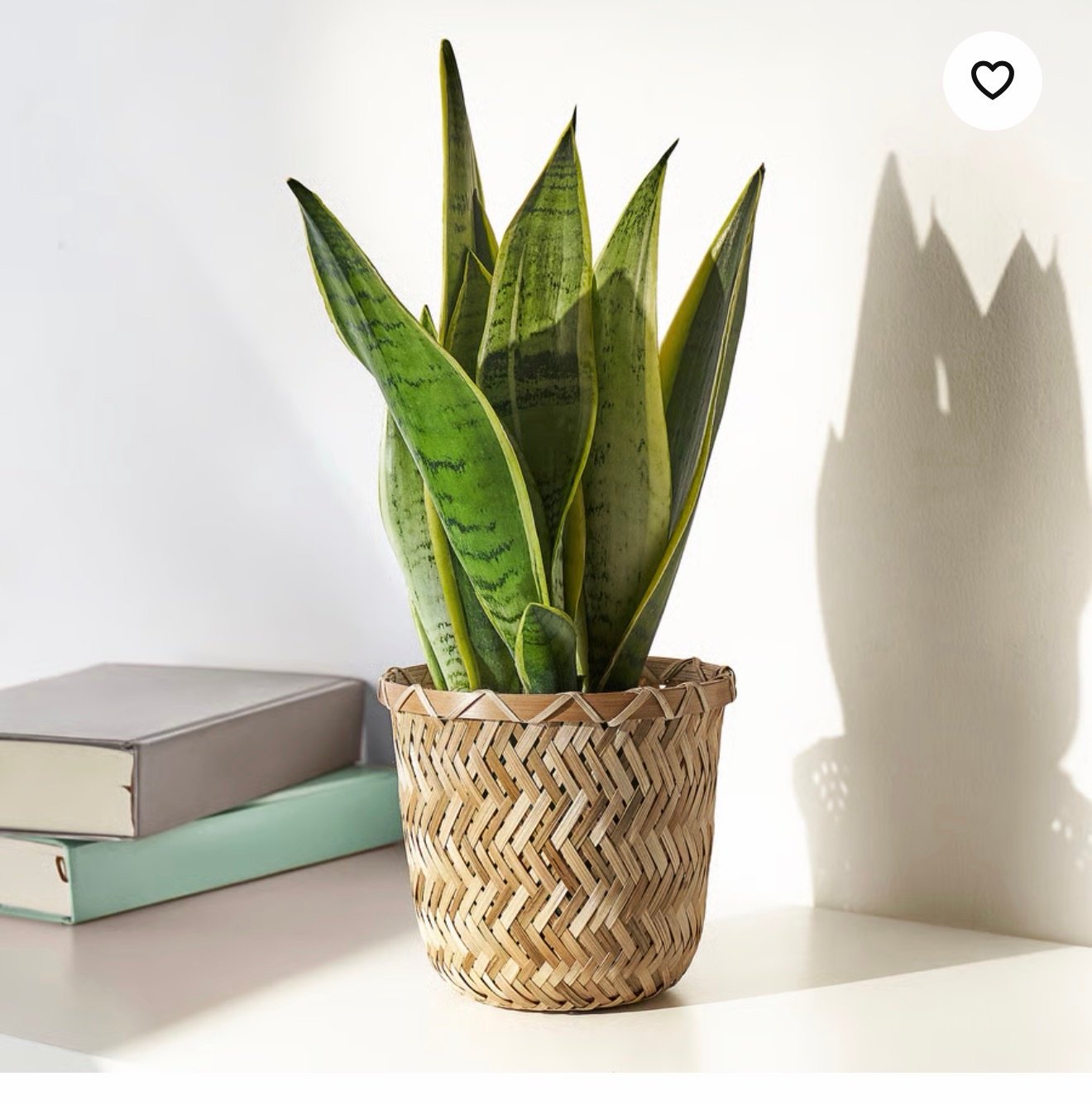 ✨KLYNNON
Plant pot, handmade bamboo, 12 cm