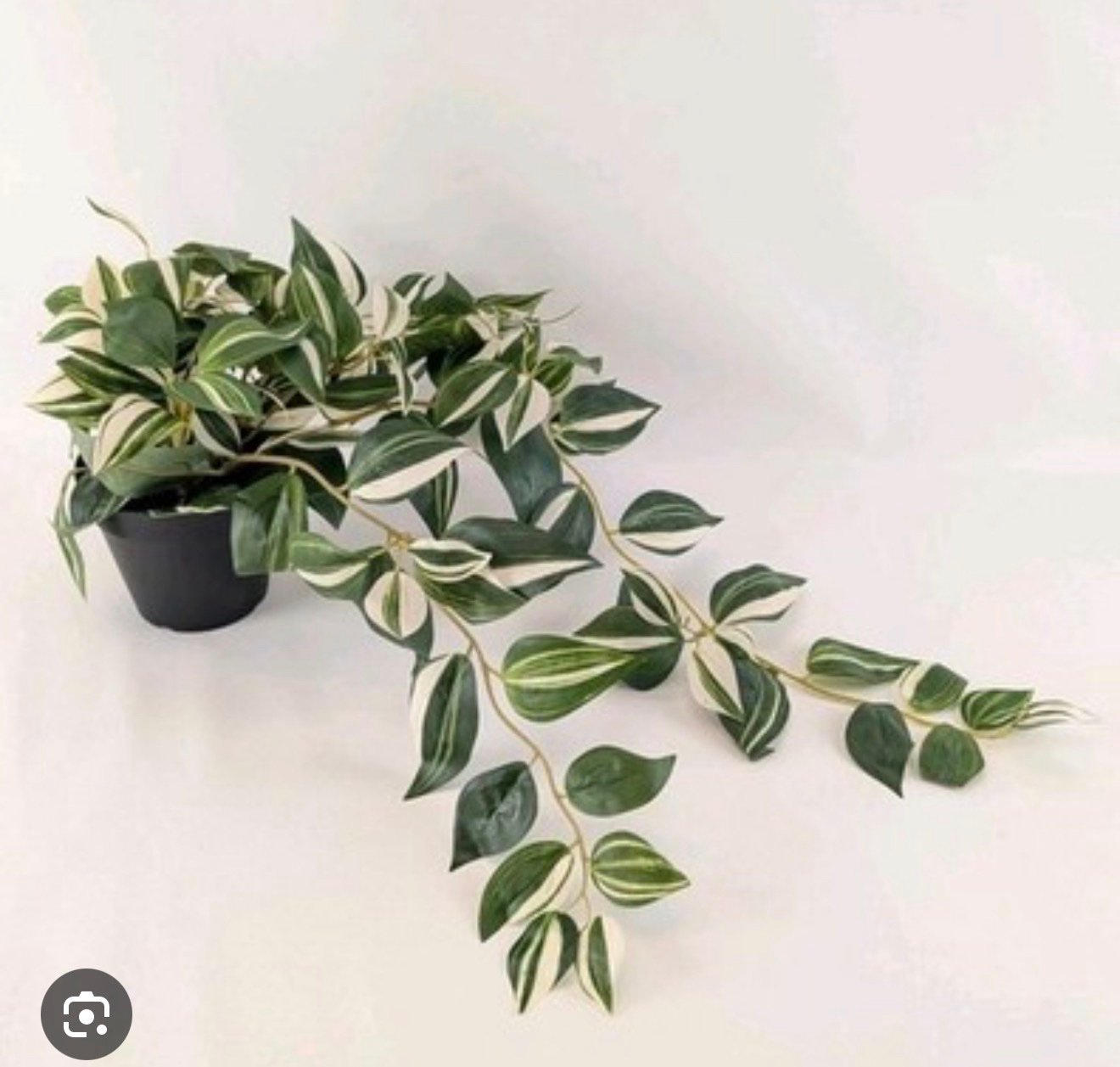 ✨FEJKA
Artificial potted plant, in/outdoor/tradescantia zebrina, 12 cm - Image 2