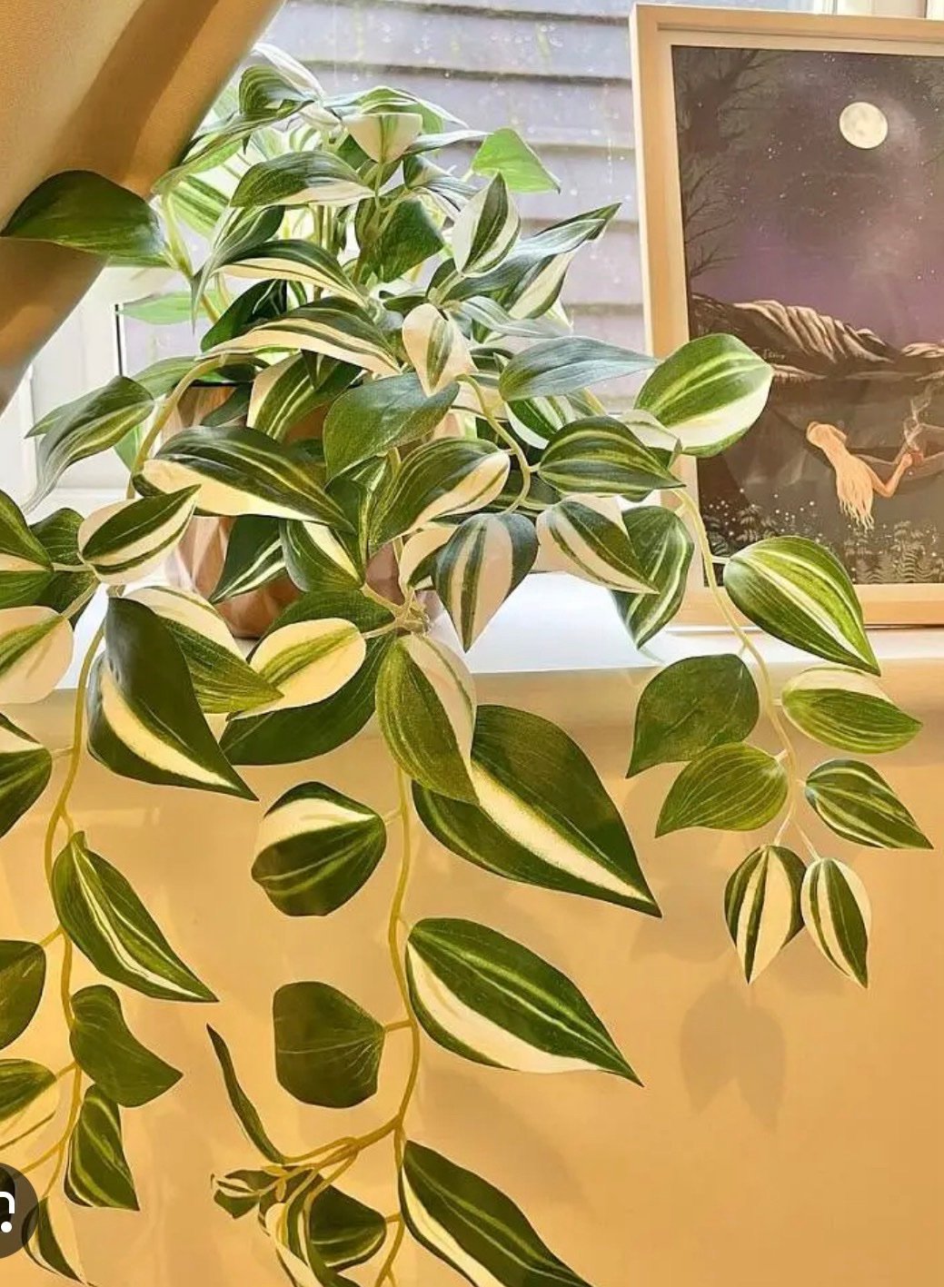 ✨FEJKA
Artificial potted plant, in/outdoor/tradescantia zebrina, 12 cm - Image 4