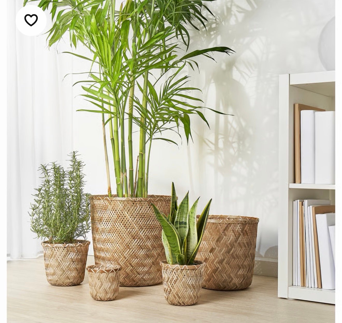 ✨KLYNNON
Plant pot, handmade bamboo, 12 cm - Image 6