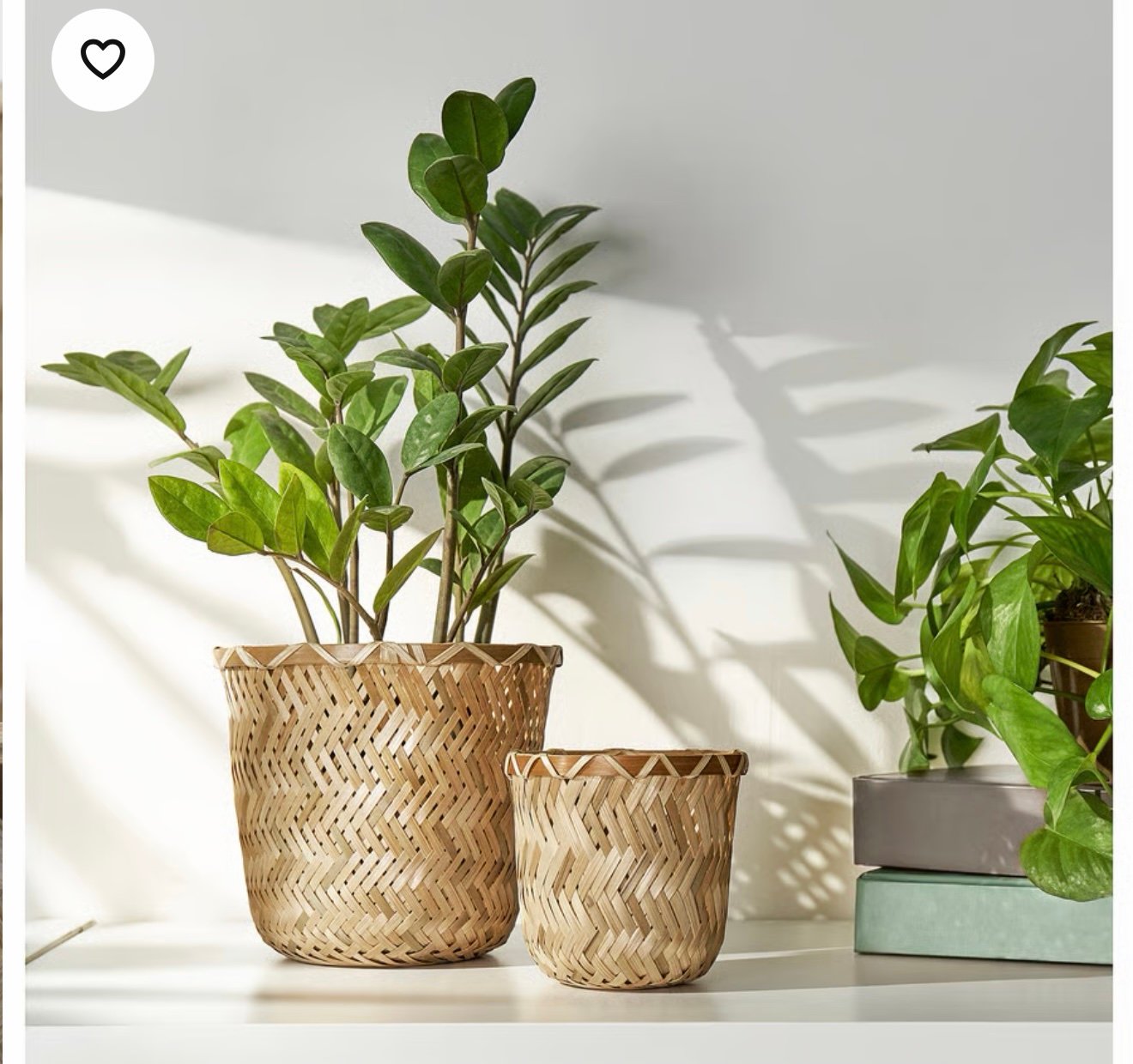✨KLYNNON
Plant pot, handmade bamboo, 12 cm - Image 5