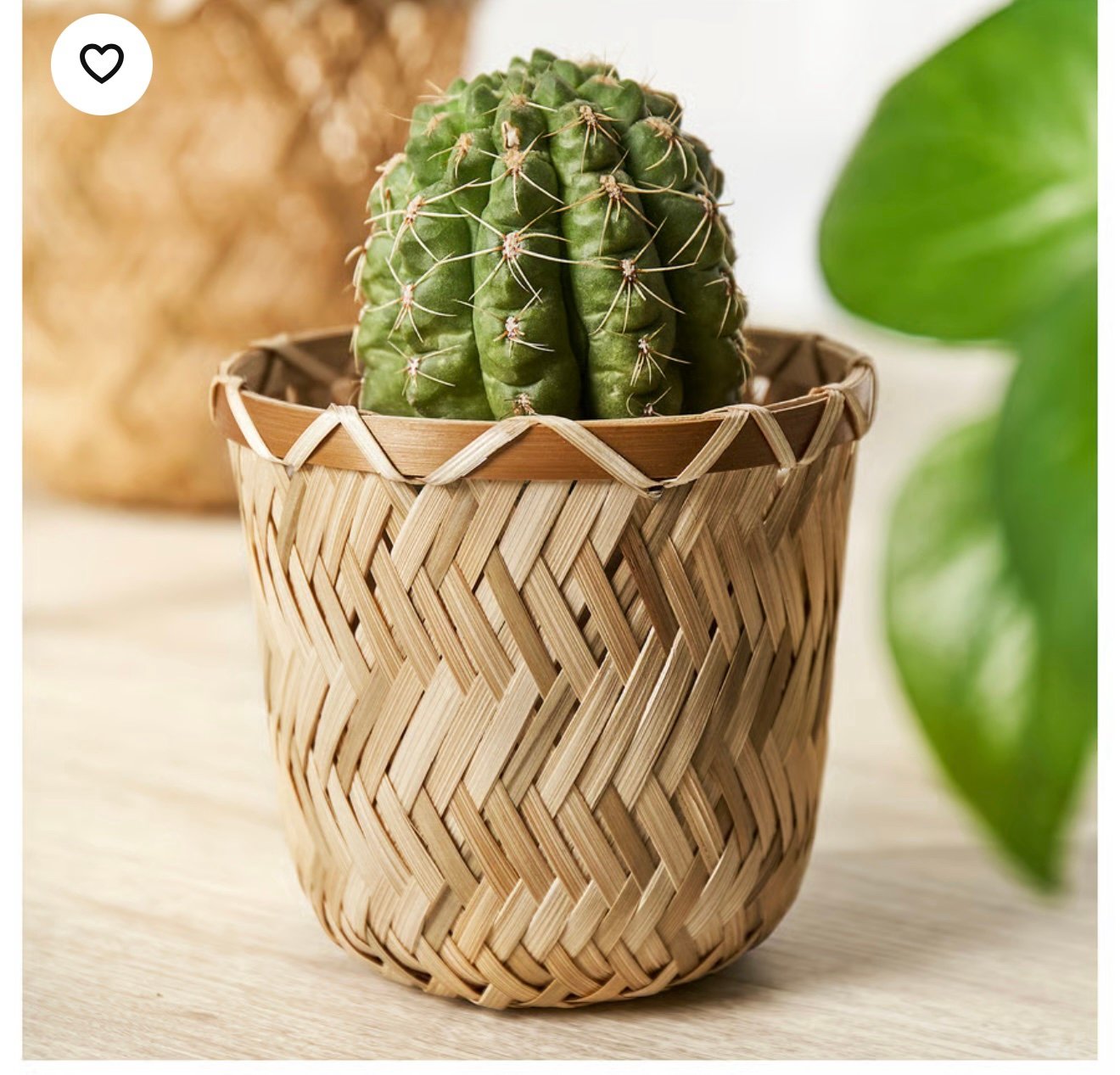 ✨KLYNNON
Plant pot, handmade bamboo, 12 cm - Image 4