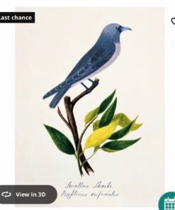 ✨PJÄTTERYD
Picture, bird blue, 30x40 cm
