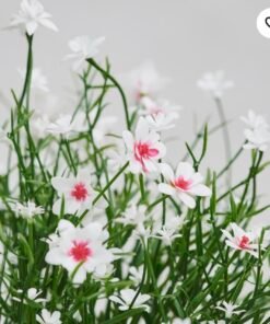 Alternative view of ✨FEJKA
Artificial potted plant, in/outdoor/Baby’s breath white, 9 cm