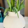 ✨GLANSGRAN
Vase, beige/black, 23 cm