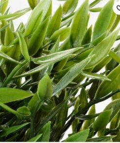 Alternative view of FEJKA✨
Artificial potted plant, in/outdoor House bamboo, 9 cm