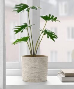 FEJKA✨
Artificial potted plant, in/outdoor philodendron, 12 cm