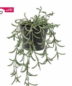 Alternative view of ✨FEJKA
Artificial plant in pots, indoor/outdoor/banana cluster suspension,
9 cm