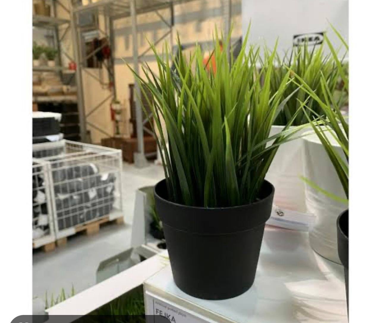 ✨FEJKA
Artificial potted plant, in/outdoor grass, 9 cm