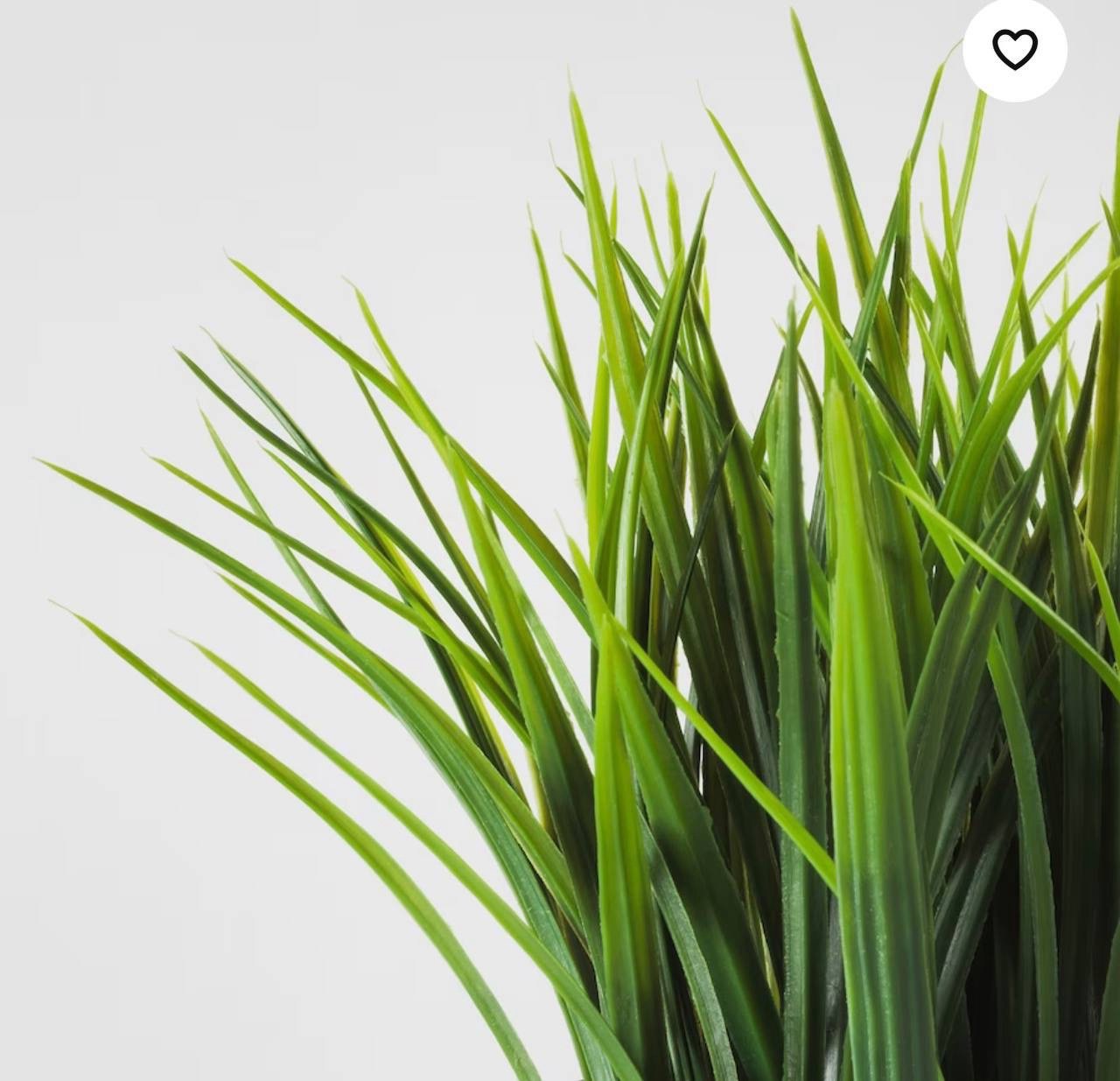 ✨FEJKA
Artificial potted plant, in/outdoor grass, 9 cm - Image 2