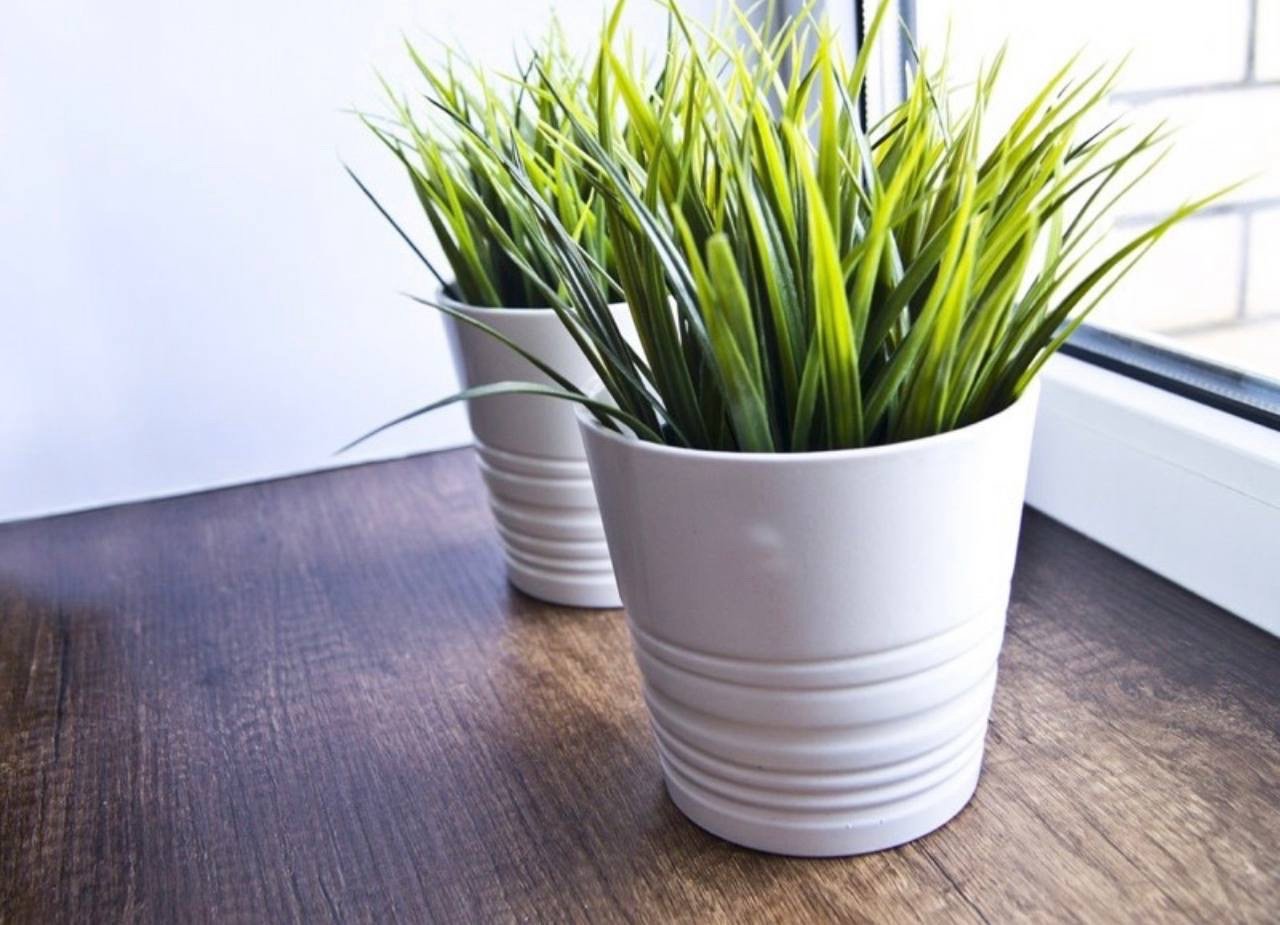 ✨FEJKA
Artificial potted plant, in/outdoor grass, 9 cm - Image 3