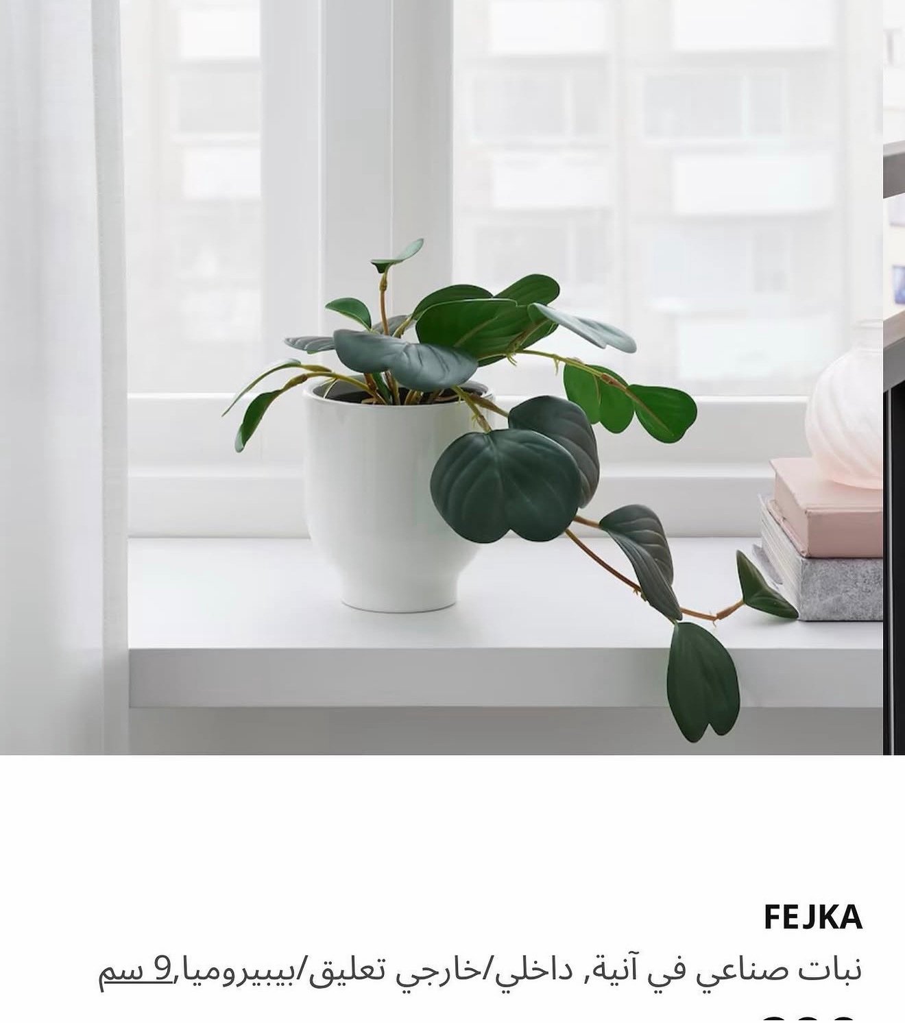 ✨FEJKA
Artificial potted plant, in/outdoor hanging/Peperomia, 9 cm - Image 6