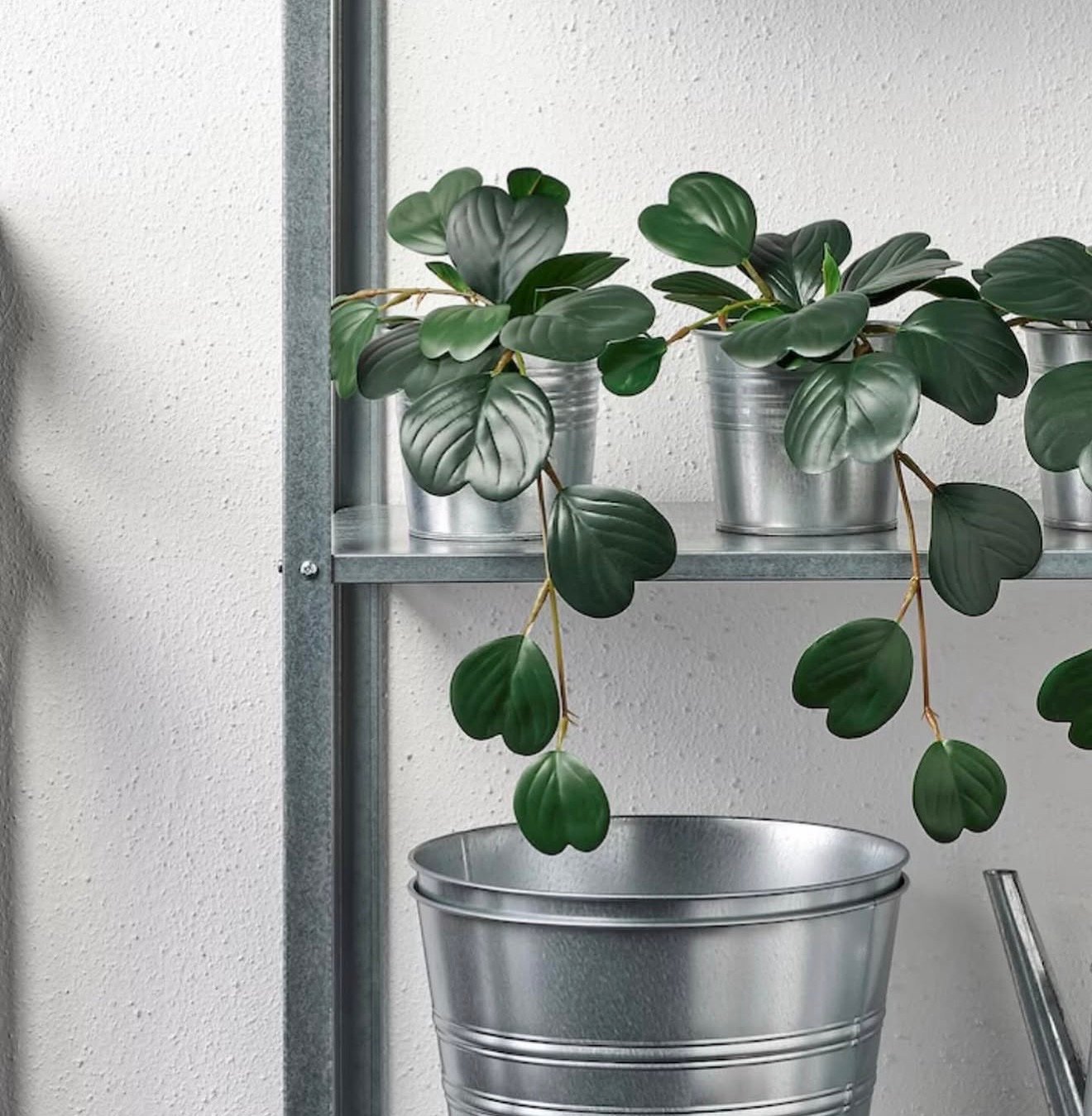 ✨FEJKA
Artificial potted plant, in/outdoor hanging/Peperomia, 9 cm - Image 3