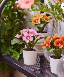 ✨FEJKA
Artificial potted plant, in/outdoor/primrose mixed colours, 6 cm