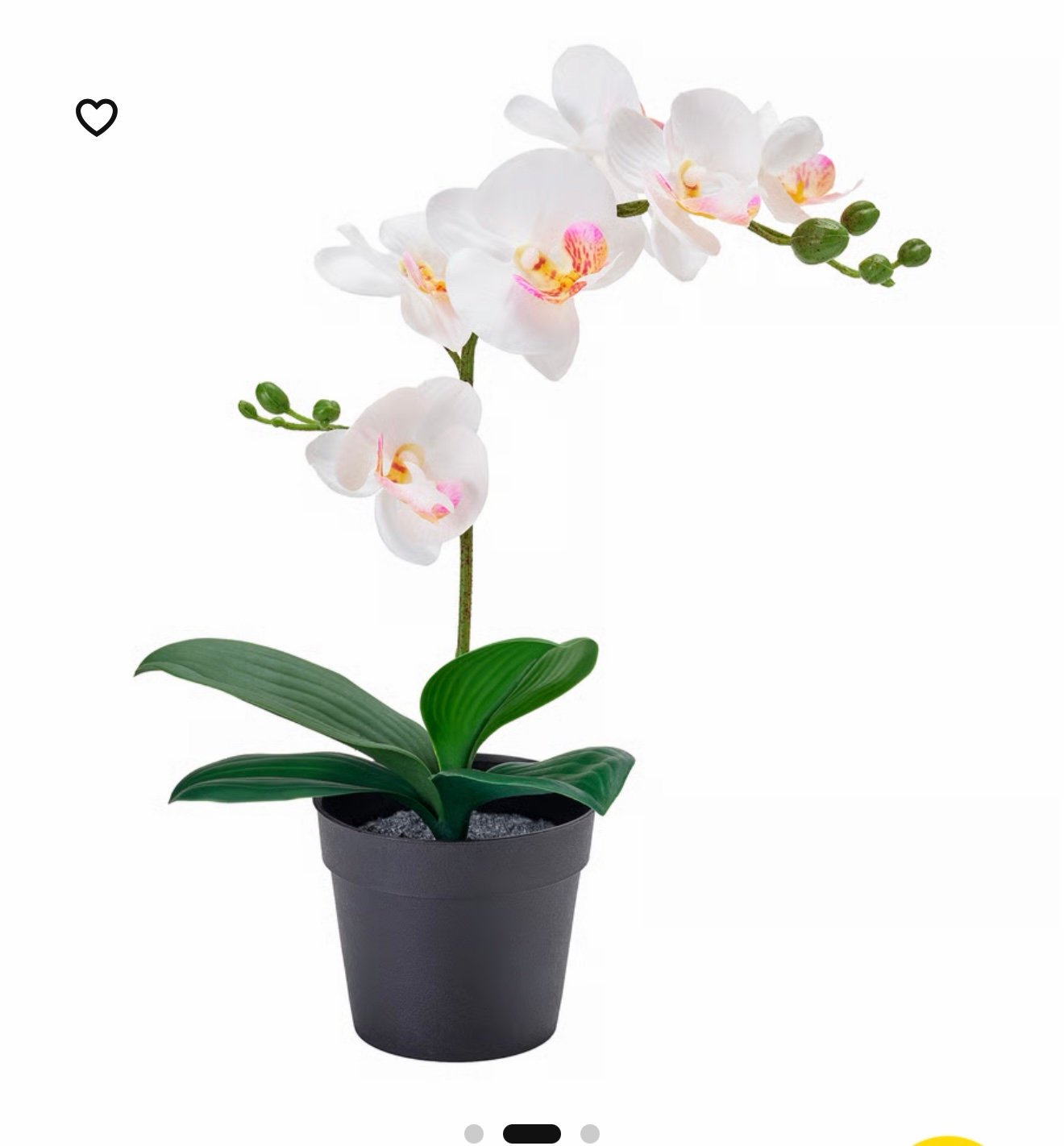 ✨FEJKA
Artificial potted plant, Orchid white, / 9 cm
🌿نبات صناعي في آنية, أوركيد /أبيض, 9 سم
- Image 2
