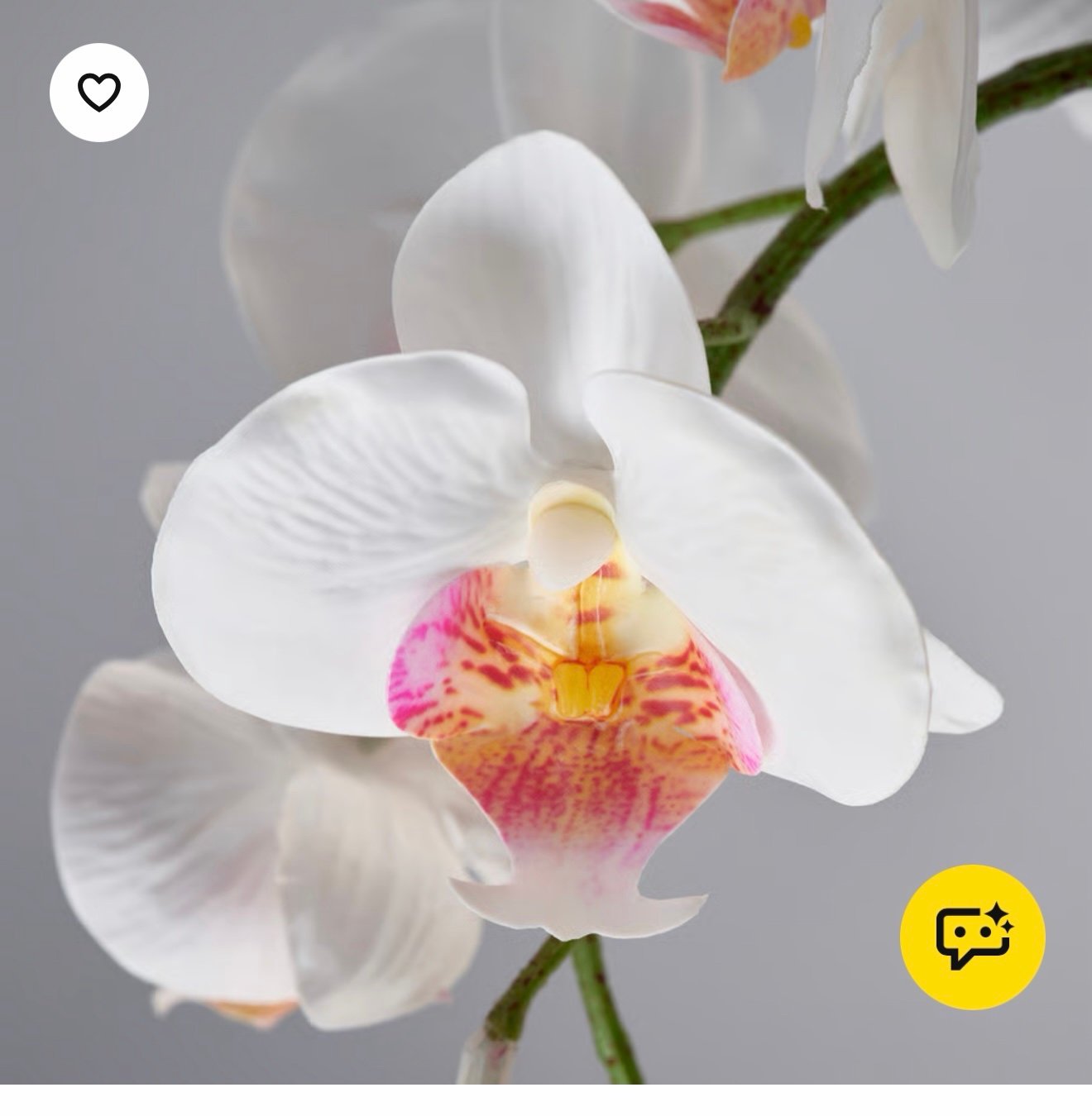 ✨FEJKA
Artificial potted plant, Orchid white, / 9 cm
🌿نبات صناعي في آنية, أوركيد /أبيض, 9 سم
- Image 3