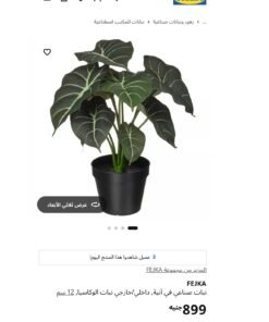 ✨FEJKA
Artificial potted plant, in/outdoor Alocasia, 12 cm