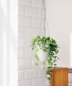 SKURAR✨
Hanging planter, in/outdoor/off-white, 12 cm - Image 3