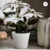 ✨VINTERFINT
Artificial potted plant, in/outdoor Poinsettia/white, 12 cm