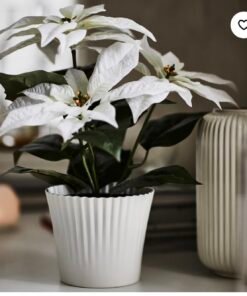 ✨VINTERFINT
Artificial potted plant, in/outdoor Poinsettia/white, 12 cm